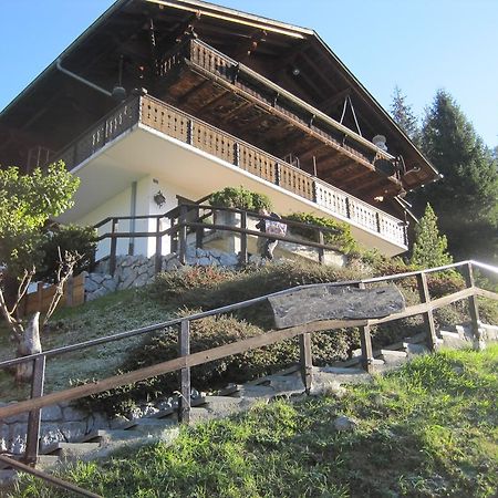 Апартаменты Chalet Erica Jaun Экстерьер фото