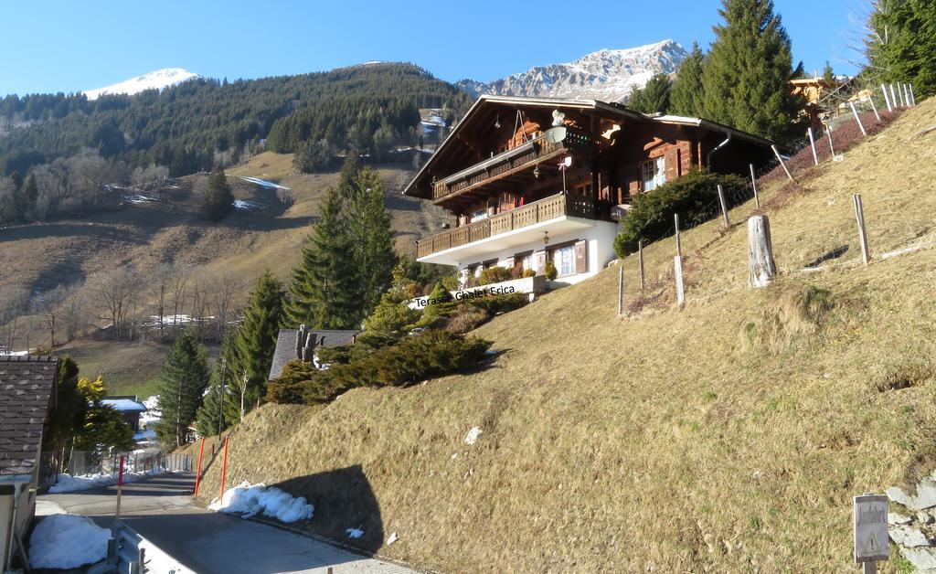 Апартаменты Chalet Erica Jaun Экстерьер фото